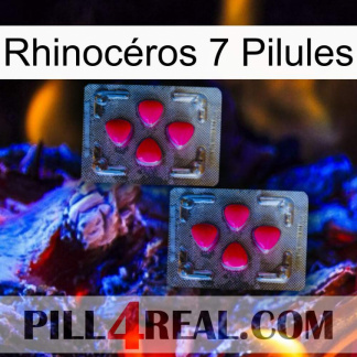 Rhinocéros 7 Pilules 14